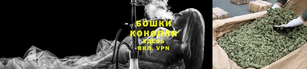 прущие грибы Абдулино