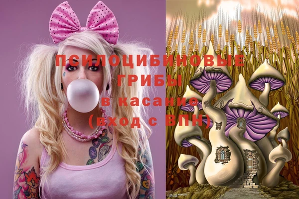 прущие грибы Абдулино