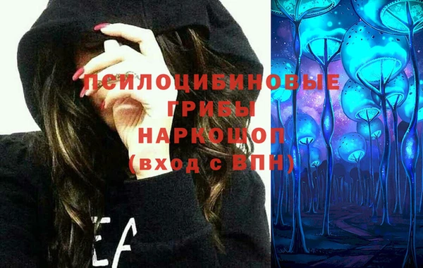 a pvp Саяногорск