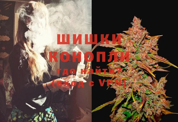 СК Сафоново