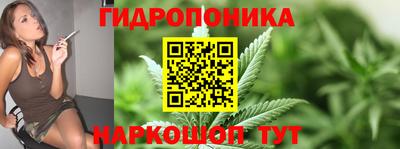 Альфа ПВП Анапа