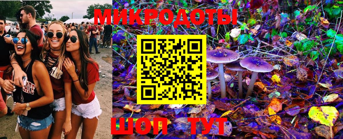 Заринск  Псилоцибиновые грибы GOLDEN TEACHER  Вход с VPN 